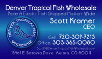 Fish Store Business Card Design