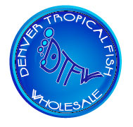 Denver Tropical Fish Wholesale