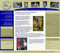 Real Estate Agent Web Site Design