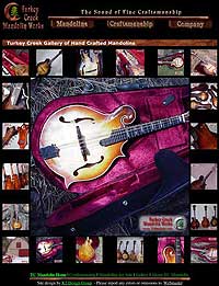 Mandolin Website Design